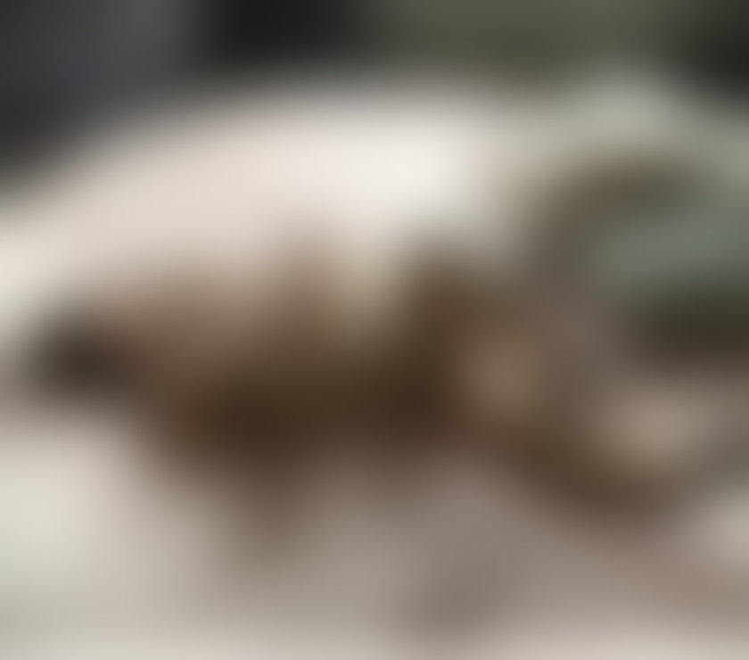 Escorts Bedfordshire Luton - Photos for Dallow road 400